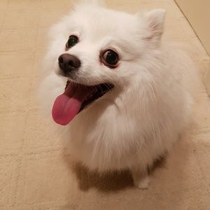 Meet your Posher, Tracy